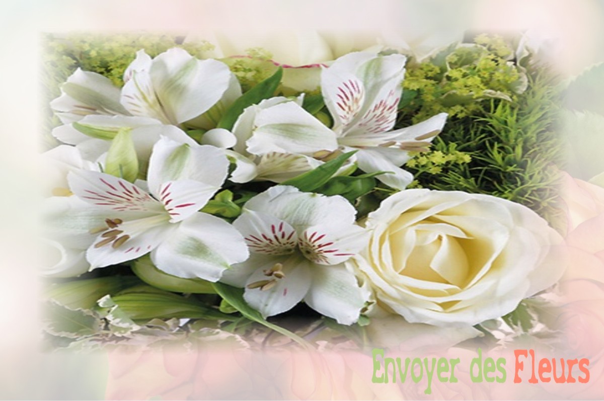 envoyer des fleurs à à DAMPIERRE-SUR-SALON